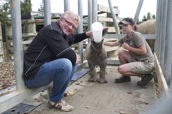 Mark Bunting and Hamilton Zoo rhino calf